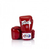 Fairtex Boxing Gloves BGV1