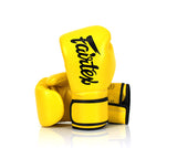 Fairtex Boxing Gloves BGV14